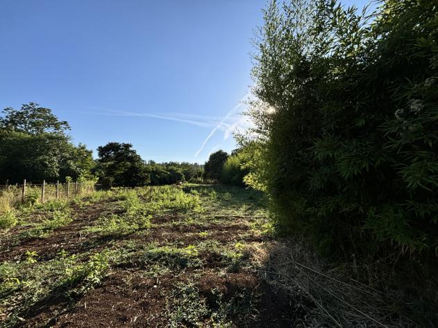 Agricolo in Via Val Pantano Prima - Foto 11