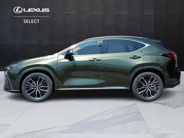 Lexus NX Hybrid Luxury 4WD MY22 - Foto 3