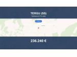 Immobile in asta di 450 m² in vendita a Tergu
