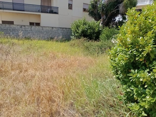 Terreno Edificabile - Zona B2 - 508mtq Arnesano (Le) Via Cilea - Foto 3