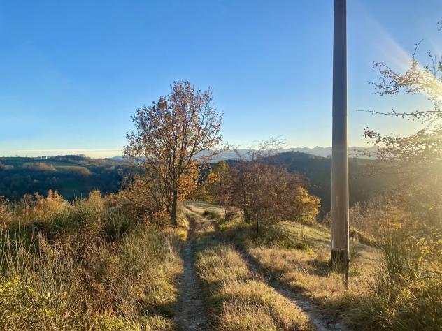 Pascolo in vendita a Marsaglia