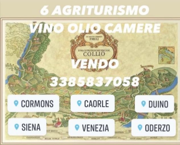 CANTINA CON 10 HA VIGNETI DI PROSECCO - Foto 5