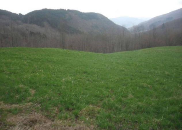 Immobile in asta di 9468 m² in vendita a Pievepelago - Foto 2