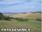 Terreno agricolo in vendita a Pisa 500000 mq  Rif: 728241