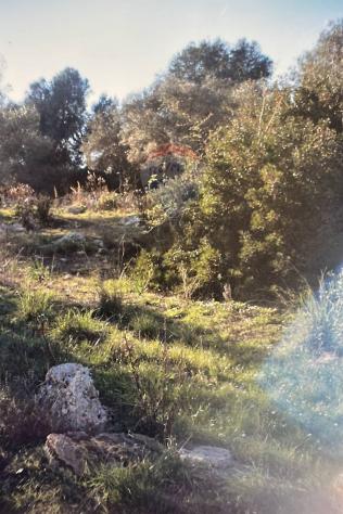 Terreno in vendita a Siracusa, Ermocrate