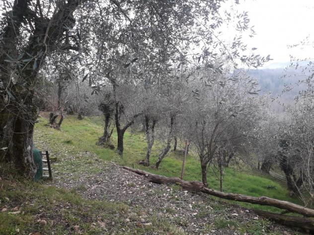 Casa singola in vendita a Fivizzano 105 mq Rif: 874219 - Foto 7