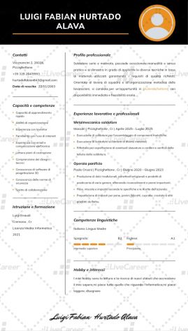 cerco lavoro