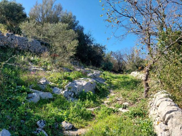 Terreno in vendita a Modica - Foto 5