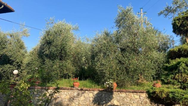 Rustico in vendita a Peccioli 400 mq Rif: 1422947 - Foto 10