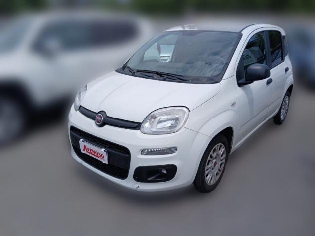 FIAT Panda 3ª serie Panda 1.2 EasyPower Easy