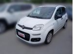 FIAT Panda 3ª serie Panda 1.2 EasyPower Easy