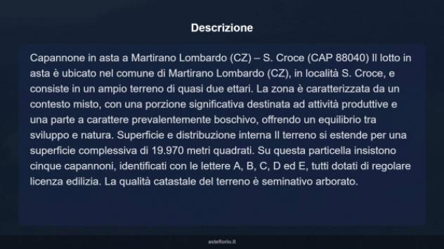 Immobile in asta di 19970 m² in vendita a Martirano Lombardo - Foto 6