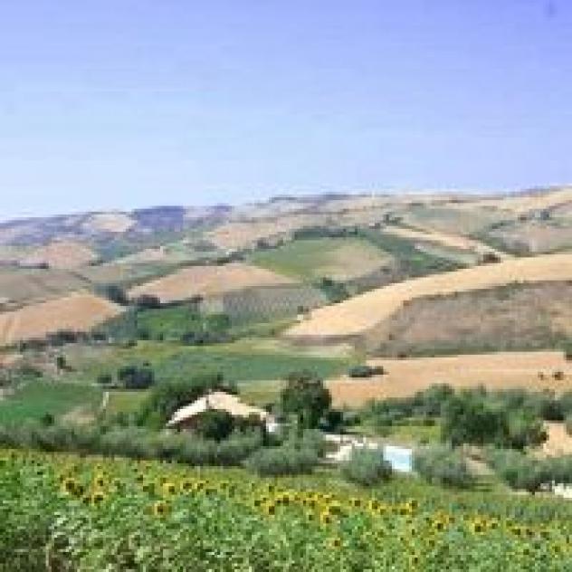 Agriturismo Due Carpini Societa' Agricola S.S. - Foto 2