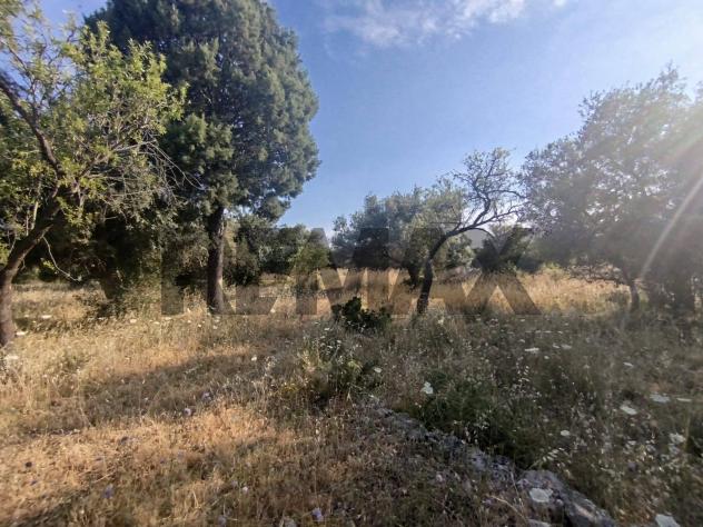 Terreno in vendita a Canicattini Bagni - Foto 7