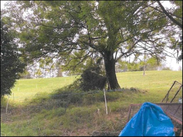 Immobile in asta di 26380 m² in vendita a Donato - Foto 15