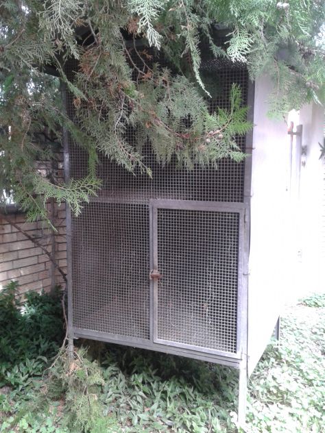 VOLIERA - Foto 9