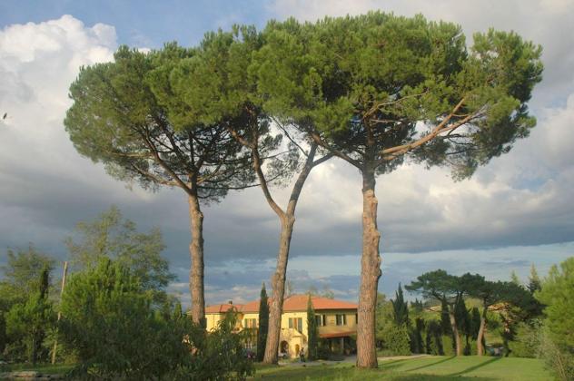 Casale in vendita a Fauglia - Foto 14