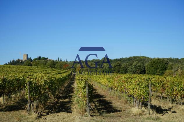 TERRENO AGRICOLO di 60400 mq (MIANE) rif. TR69_17 - Foto 13