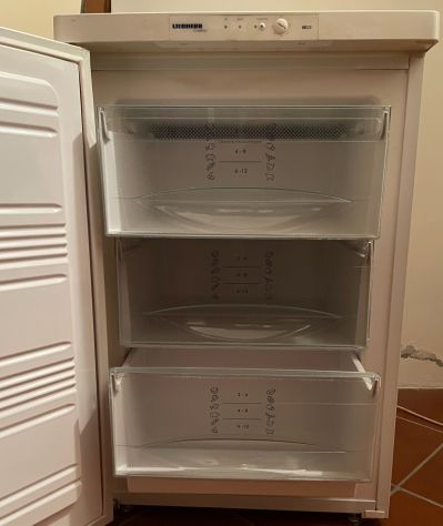 freezer LIEBHERR Comfort modello G 1211 - Foto 5