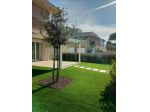 Appartamento in affitto a Tirrenia - Pisa 70 mq  Rif: 1391026
