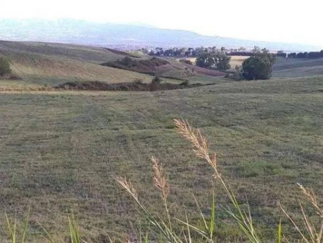 Immobile in asta di 281311 m² in vendita a Guidonia Montecelio - Foto 2