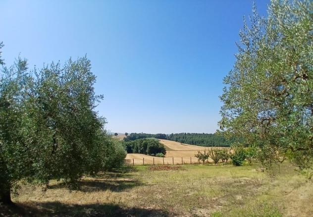 Rustico in vendita a Montecastrilli - Foto 8