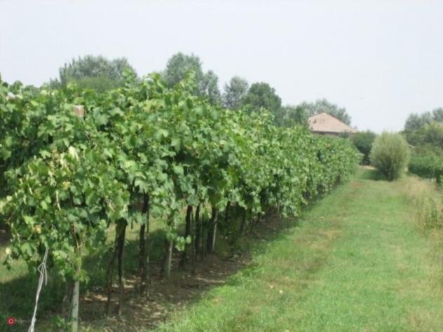 Terreno agricolo in Vendita in Via Carpi Ravarino 619 a Soliera