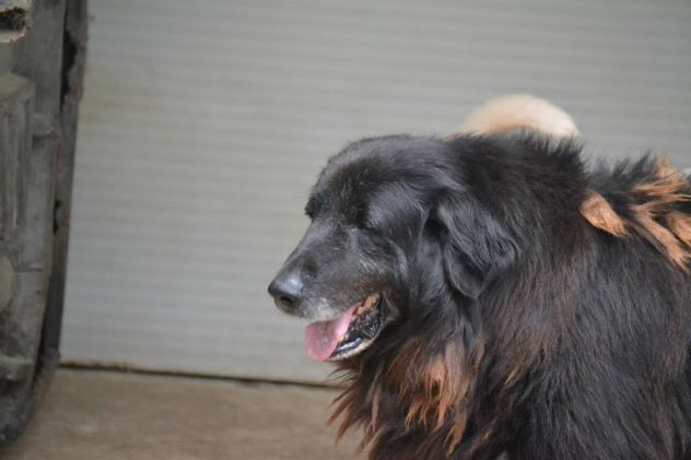 BRUNO, terranova da scoprire - Foto 2