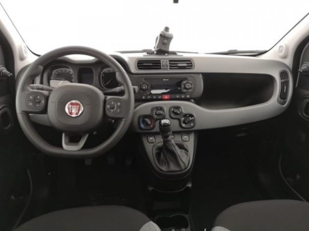 FIAT Panda 1.0 FireFly S&S Hybrid City Life rif. 24148938 - Foto 3