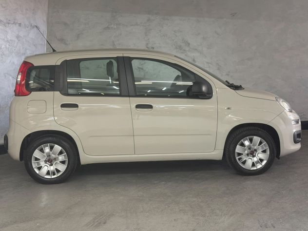 FIAT PANDA 3A SERIE anno 2016 - Foto 10