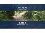 Immobile in asta di 5430 m² in vendita a Luzzi