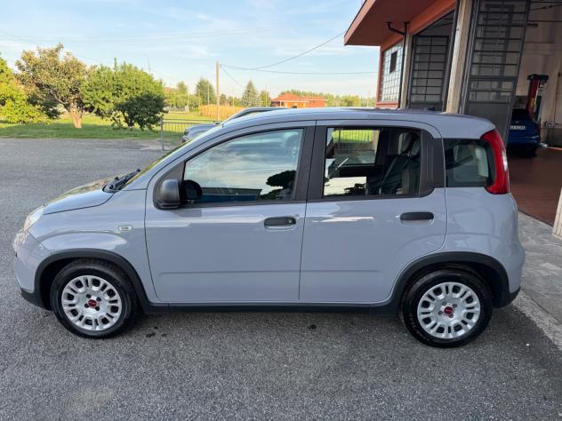 Fiat Panda 1.0 Hybrid - Foto 6
