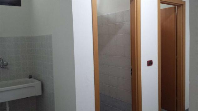 capann Rosignano - Capannone a Rosignano Marittimo - Foto 10
