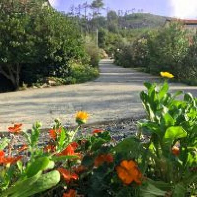 Lerzo Renato - Foto 3