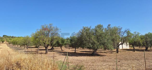 Terreno in vendita a Noto - Foto 5