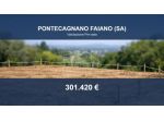 Immobile in asta di 15952 m² in vendita a Pontecagnano Faiano