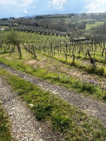 Annesso agricolo in vendita a Capannoli 6500 mq Rif: 1326738 - Foto 6