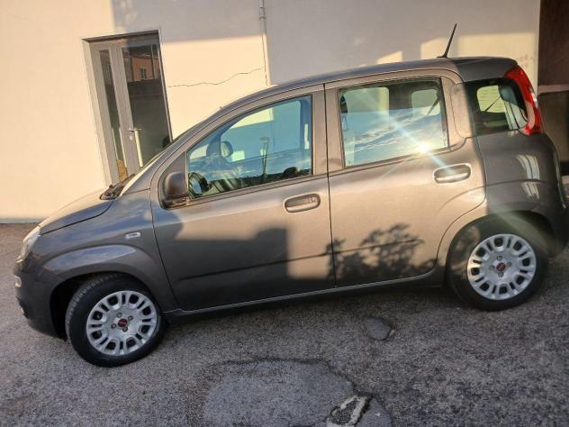 FIAT Panda 1.0 FireFly S&S Hybrid - Foto 6