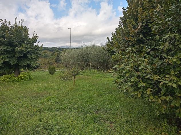 1975/MARZANO Villa su un solo livello di 180 mq con parco di mq 4.000 a Marzano Appio, lungo la S - Foto 6