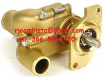 119773-42500 Pompa acqua mare Yanmar 6LP