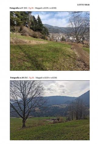 564/2022 3 BS - terreno in asta a Borno - Foto 14