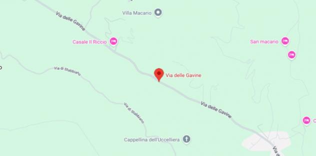 Immobile in asta di 17511 m² in vendita a Lucca - Foto 5