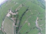 Terreno a Monteforte d'Alpone - Rif. 6516
