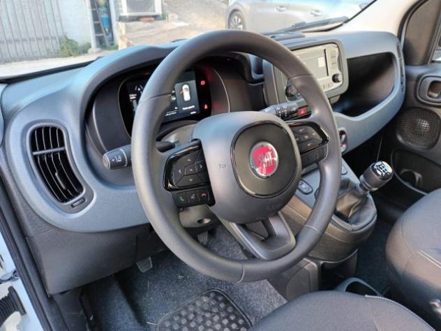 FIAT Panda 1000 HYBRID PANDINA ICON 70CV 5P PACKCITY ITALIA rif. 23999345 - Foto 10
