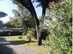 Appartamento in vendita a Marina di Massa - Massa 70 mq  Rif: 1222775