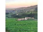 Villa Allegri Agriturismo di Charme