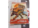 Salgari,Una Sfida Al Polo 1947