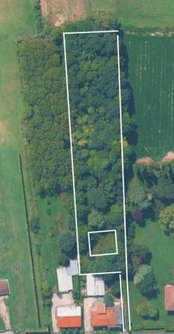 Fossò (VE) - Lotto edificabile di 450 mc con bosco urbano