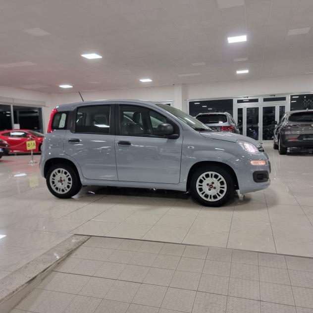 Fiat Panda 1.0 FireFly S&S Hybrid - Foto 4