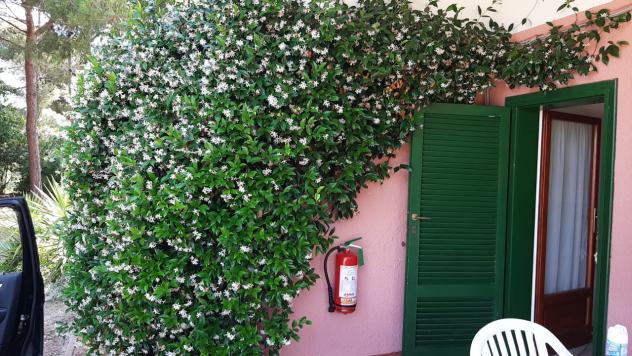 VILLA di 4 vani e di 70 mq (PORTOFERRAIO) rif. 108_15 - Foto 14